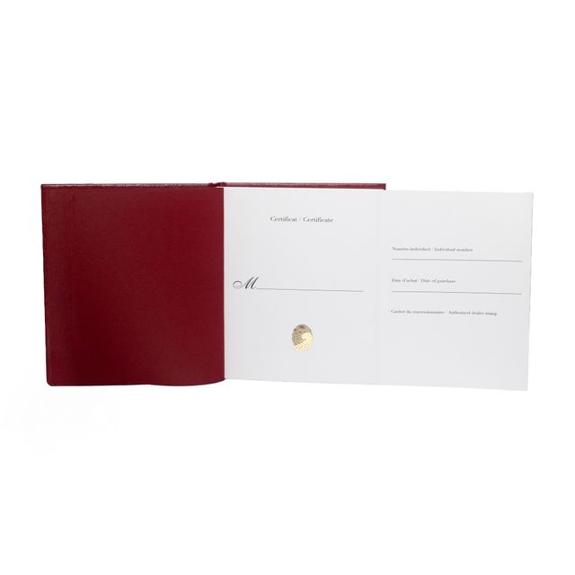 Cartier Santos De Cartier WHSA0019 Image 3